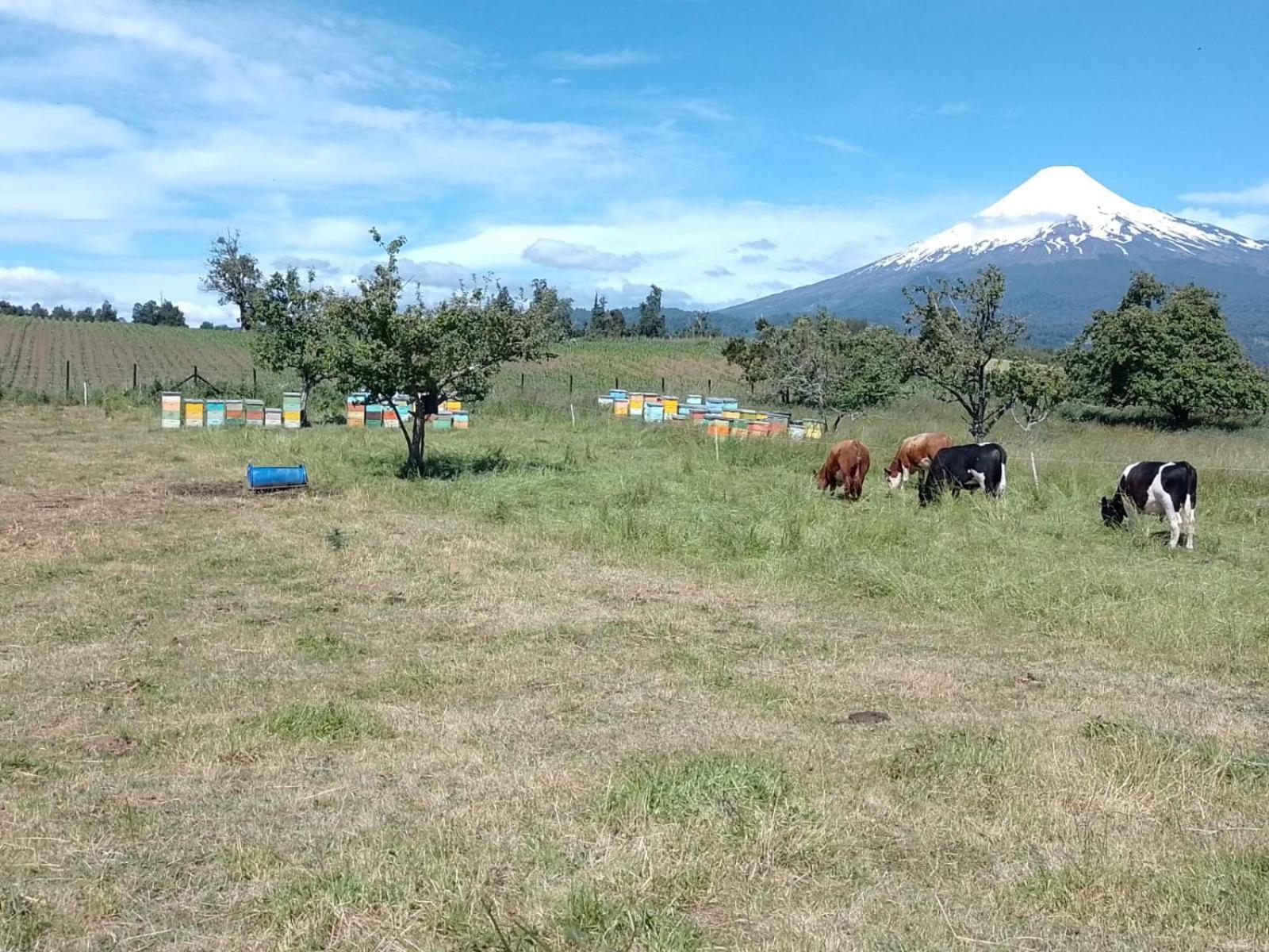 La Posada Del Colono Puerto Clocker Eksteriør billede