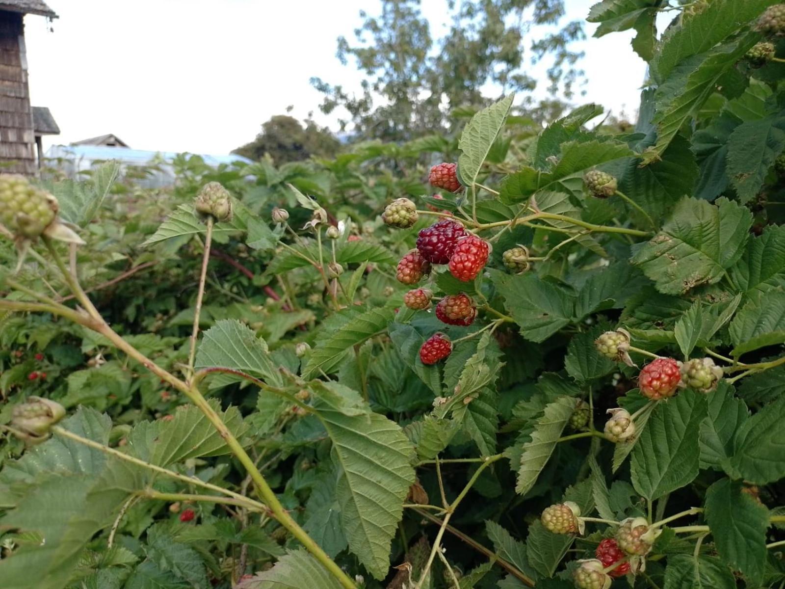 La Posada Del Colono Puerto Clocker Eksteriør billede